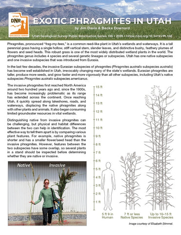 Exotic Phragmites in Utah (PI-108)