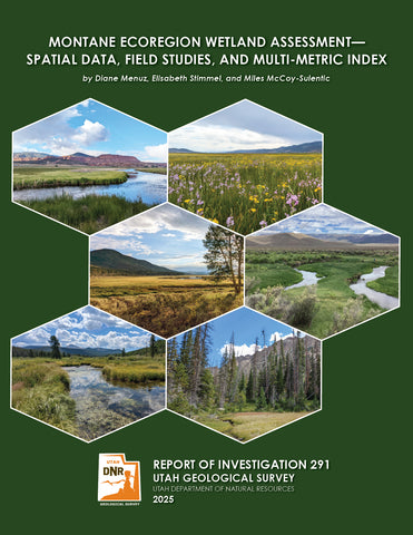 Montane Ecoregion Wetland Assessment—Spatial Data, Field Studies, and Multi-Metric Index (RI-291)