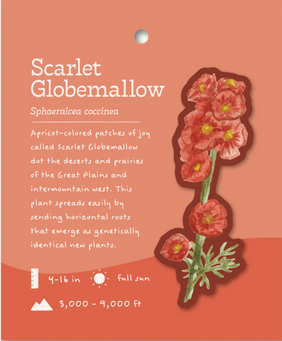 Scarlet Globemallow Sticker and Bite-Sized Field Guide