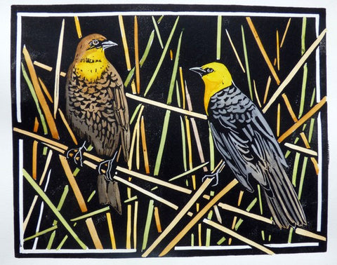 Birds of the West: An Artist's Guide