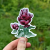 Rhexia-Leaf Indian Paintbrush Sticker