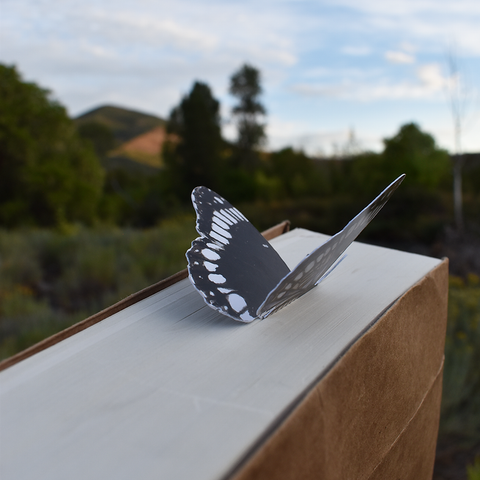 Butterfly 3D Bookmark - Weidemeyer's Admiral