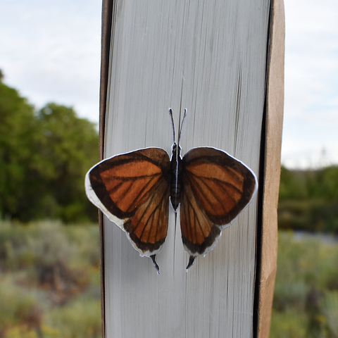 Butterfly 3D Bookmark - Juniper Hairstreak