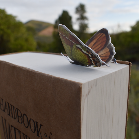 Butterfly 3D Bookmark - Juniper Hairstreak