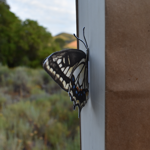 Butterfly 3D Bookmark - Anise Swallowtail