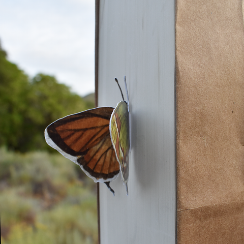 Butterfly 3D Bookmark - Juniper Hairstreak