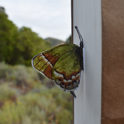 Butterfly 3D Bookmark - Juniper Hairstreak