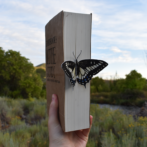 Butterfly 3D Bookmark - Anise Swallowtail