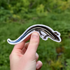Western Skink Sticker