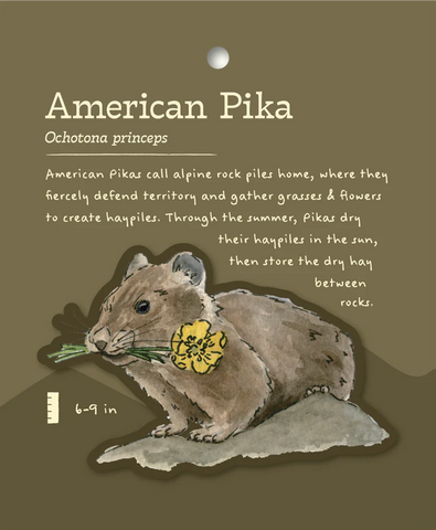 American Pika Sticker and Bite-Sized Field Guide