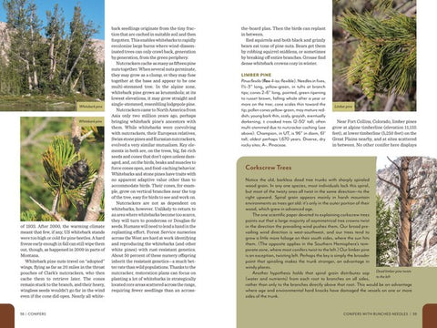 Rocky Mountain Field Guide - A Trailside Natural History