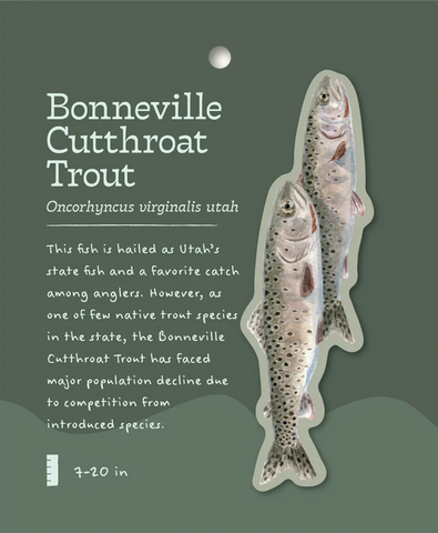 Bonneville Cutthroat Trout Sticker and Bite-Sized Field Guide