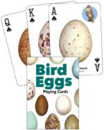 Bird Eggs Playing Cards:
