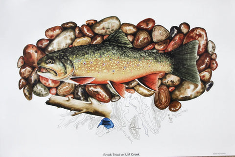 Paul Twitchell- Brown Trout
