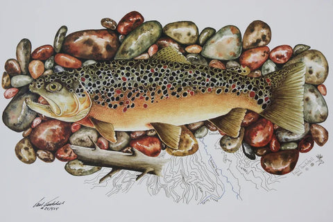 Paul Twitchell- Weber River Brown Trout
