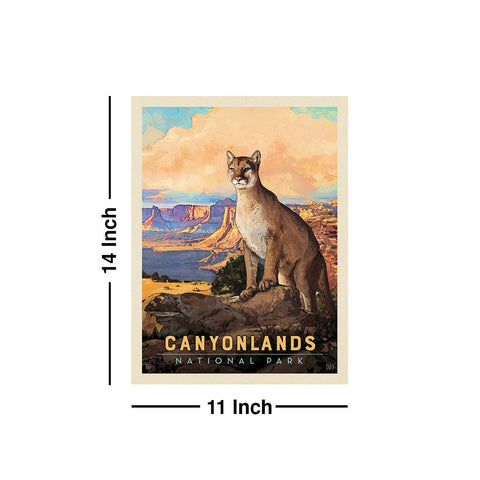 Canyonlands National Park Utah Bobcat Wall Decal