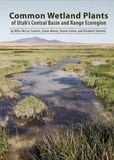 Common Wetland Plants of Utah's Central Basin and Range Ecoregion (MP-178)