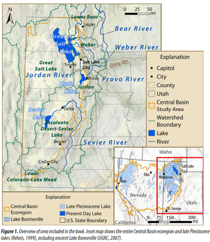 Common Wetland Plants of Utah's Central Basin and Range Ecoregion (MP-178)