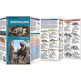 Dinosaurs: A Folding Pocket Guide to Familiar Species