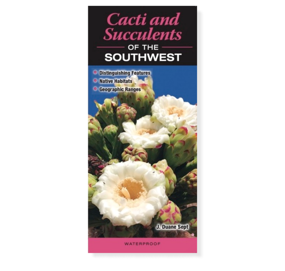 southwest succulents Cacti and Succulents of the Southwest [Book]