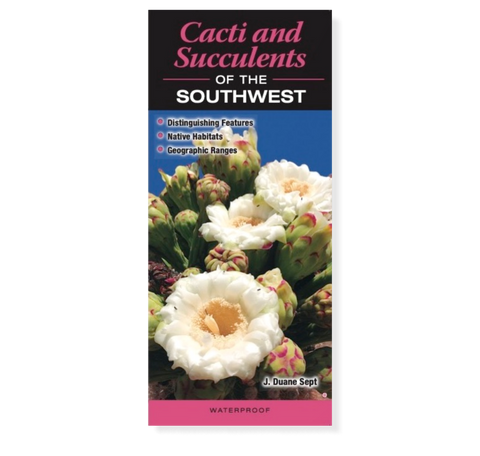 Cacti and Succulents of the Southwest