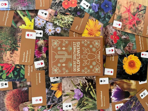 Desert Southwest Wildflowers Deck