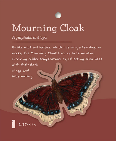 Mourning Cloak Sticker and Bite-Sized Field Guide