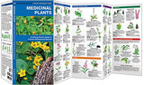 Medicinal Plants: A Folding Pocket Guide to Familiar Widespread Species