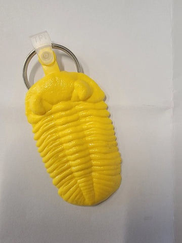 Keychain: Dinosaur & Trilobite