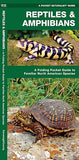 Repitles & Amphibians: A Folding Pocket Guide to Familiar North American Species