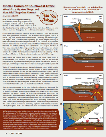 SURVEY NOTES 55-3