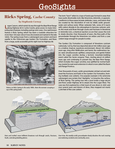 SURVEY NOTES 56-1