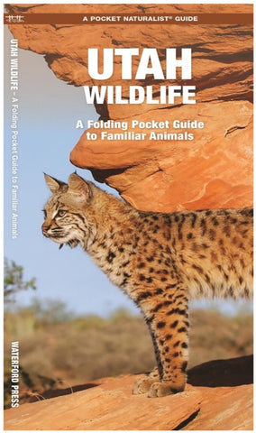 Utah Wildlife: A Folding Pocket Guide to Familiar Animals