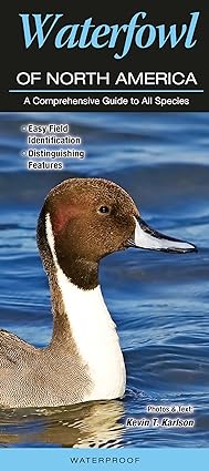 Waterfoul Of North America: A Comprehensive Guide to All Species