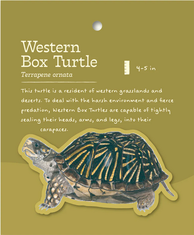 Western Box Turtle Sticker and Bite-Sized Field Guide