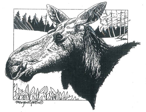 Wildlife Greeting Card - Moose