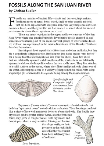 San Juan River Guide by Lisa Kearsley