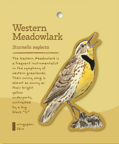 Western Meadowlark Sticker and Bite-Sized Field Guide