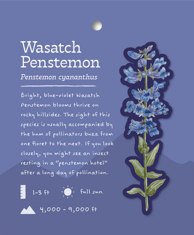 Wasatch Penstemon Sticker and Bite-Sized Field Guide