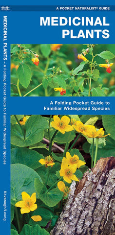 Medicinal Plants: A Folding Pocket Guide to Familiar Widespread Species