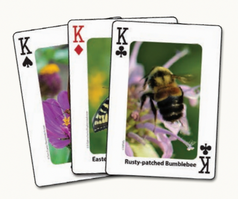 Bees & Butterflies Playing Cards