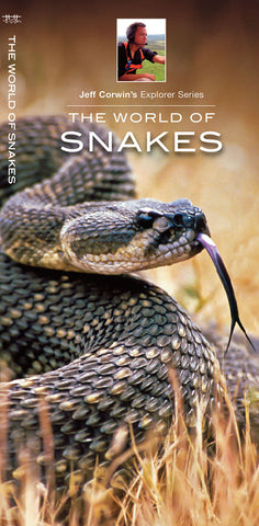 Jeff Corwins Explorer Series: The World of Snakes