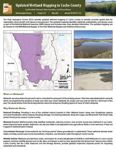 Updated Wetland Mapping in Cache County, (C-133)