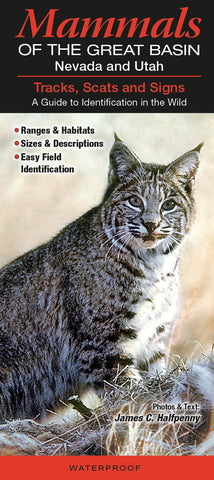 Mammals Of The Great Basin, Nevada and Utah: Tracks, Scats, and Signs, A Guide to Identification in the Wild