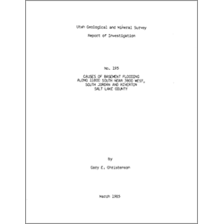 Report of Investigation 195, Report of Investigation-195, RI 195, RI195, christenson, christianson, christensen, christiansen, gary, gary e., g.e., g. e., gary c., g.c., g. c., gc