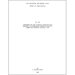 Report of Investigation 210, Report of Investigation-210, RI 210, RI210, gwynn, john, wallace, john wallace, john wally, john w., j. wallace, j. wally, wally, j.w., j. w., jw