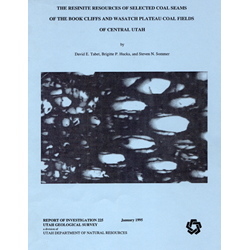 Report of Investigation 225, Report of Investigation-225, RI 225, RI225, tabet, david, david e., dave, dave e., d.e., d. e., de, hucka, brigitte, brigitte p., b.p., b. p., bp, sommer, steven, steven n., stephen, stephen n., steve, steve n., s.n., s. n., s