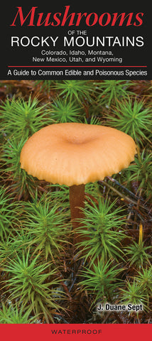 Mushrooms of the Rocky Mountains: A Guide to Common Edible and Poisonous Species